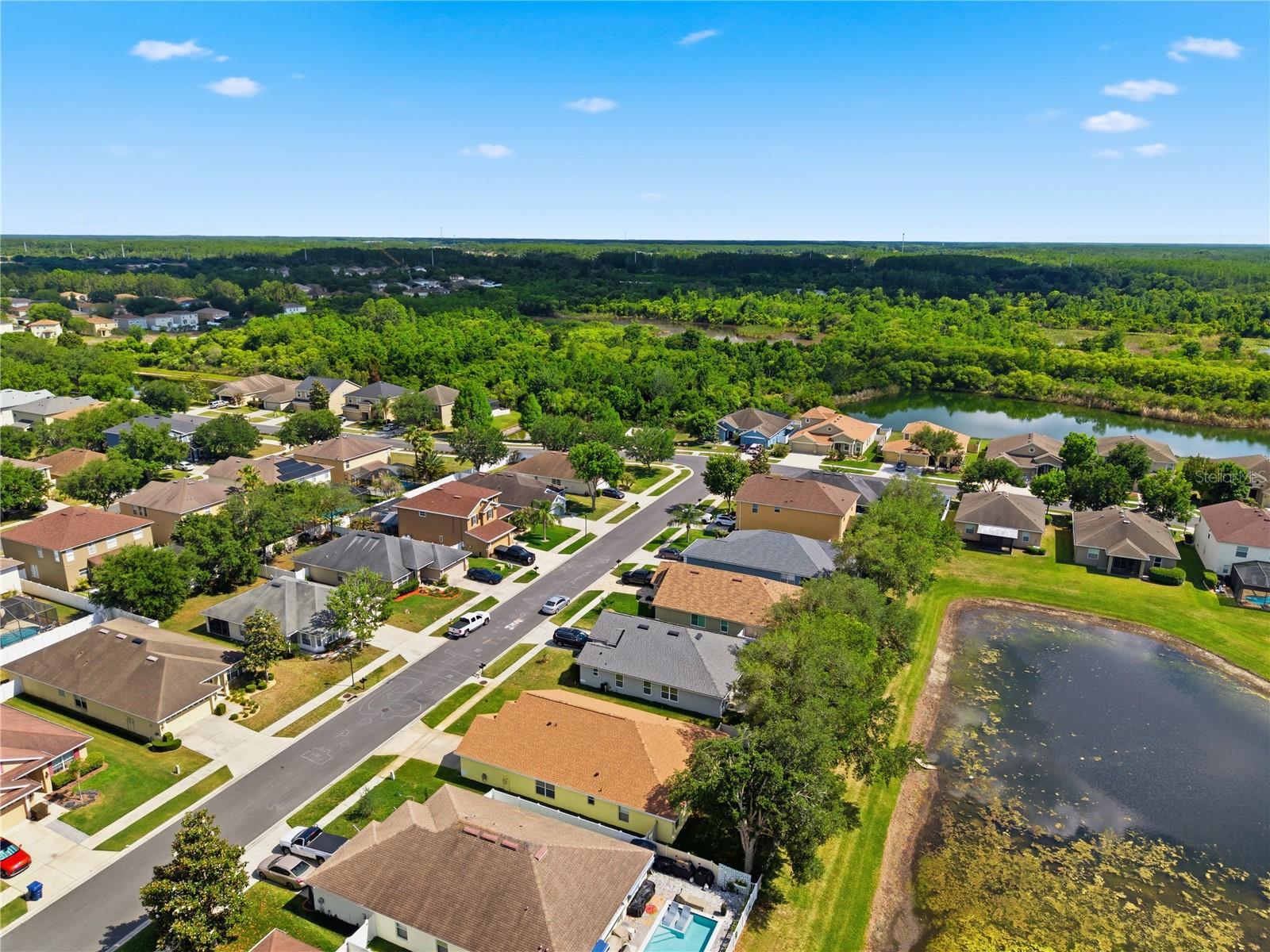 9551 JAYBIRD LN, LAND O LAKES, FL, 34638