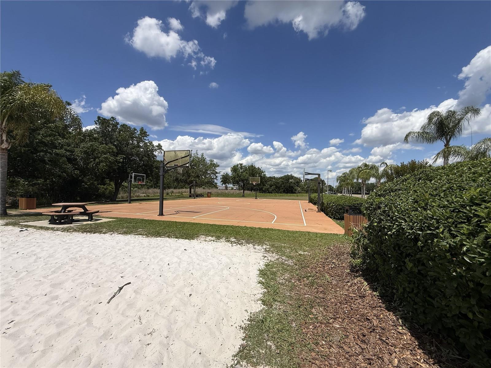 9551 JAYBIRD LN, LAND O LAKES, FL, 34638