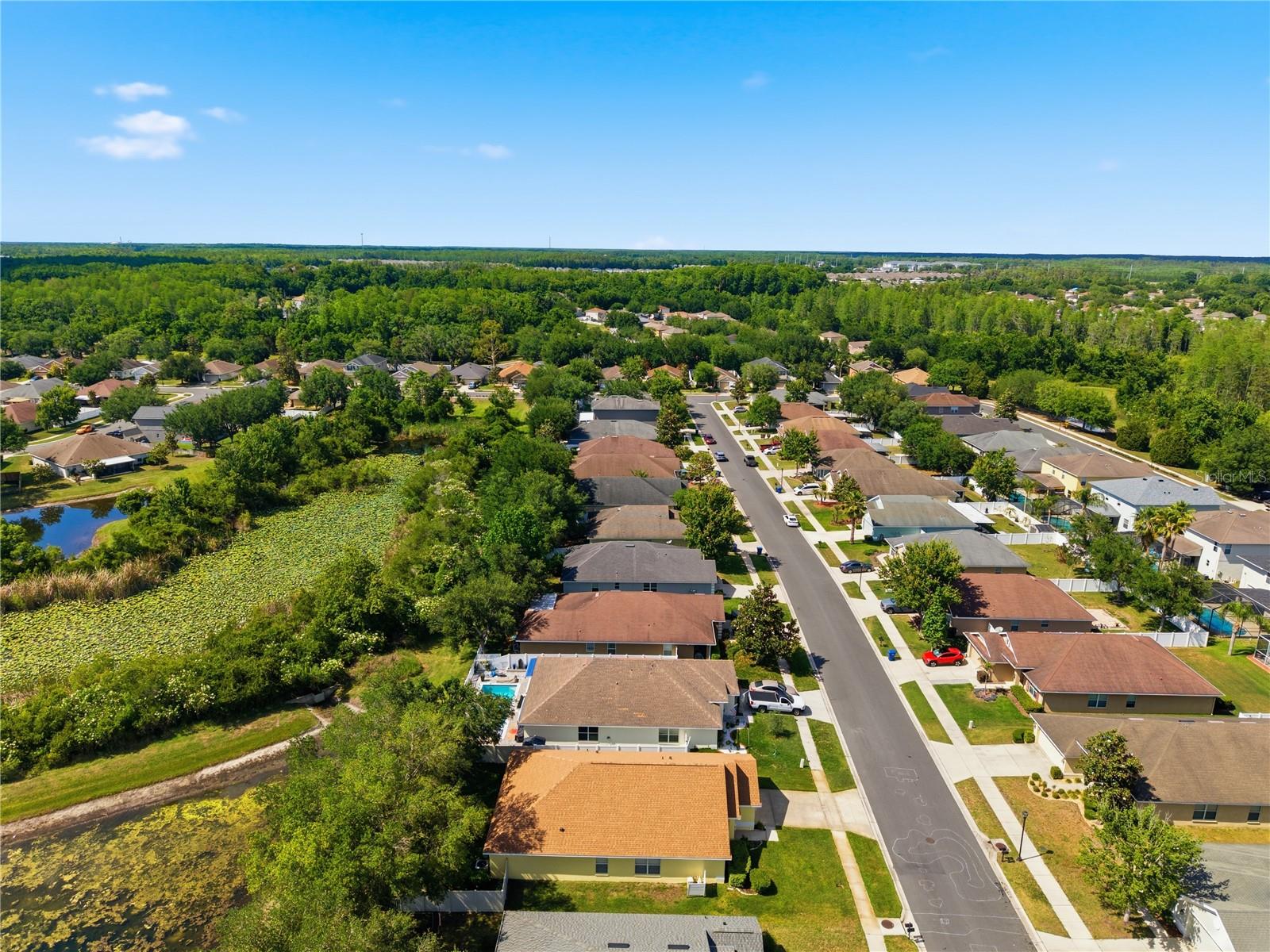 9551 JAYBIRD LN, LAND O LAKES, FL, 34638