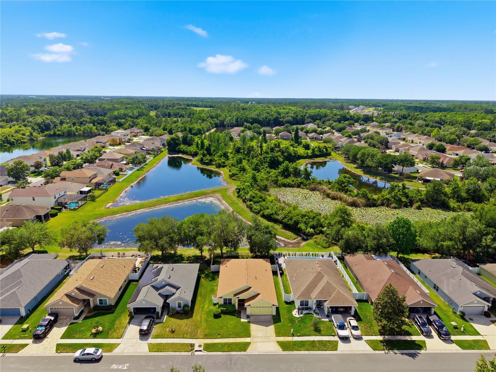 9551 JAYBIRD LN, LAND O LAKES, FL, 34638