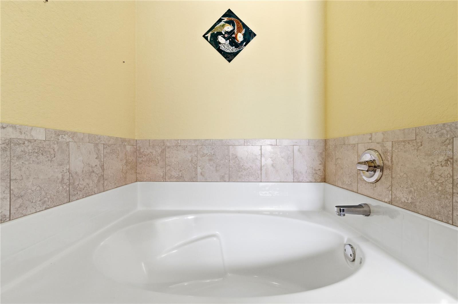 9551 JAYBIRD LN, LAND O LAKES, FL, 34638