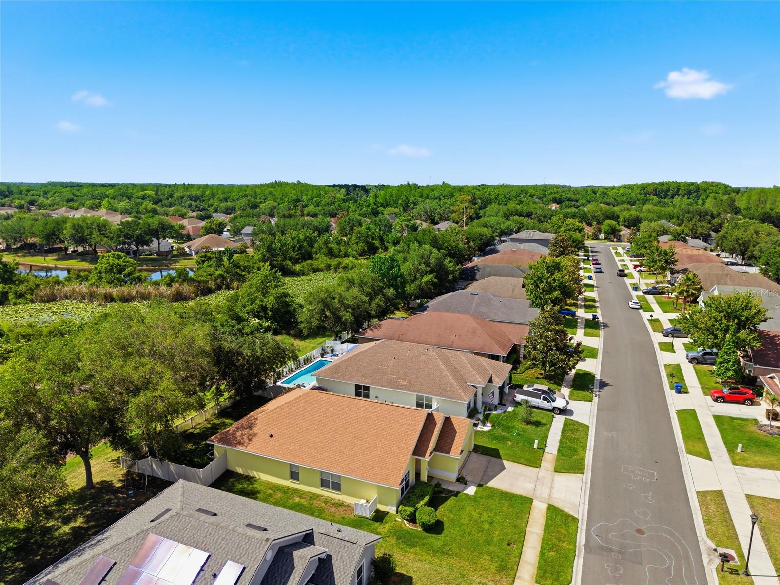 9551 JAYBIRD LN, LAND O LAKES, FL, 34638