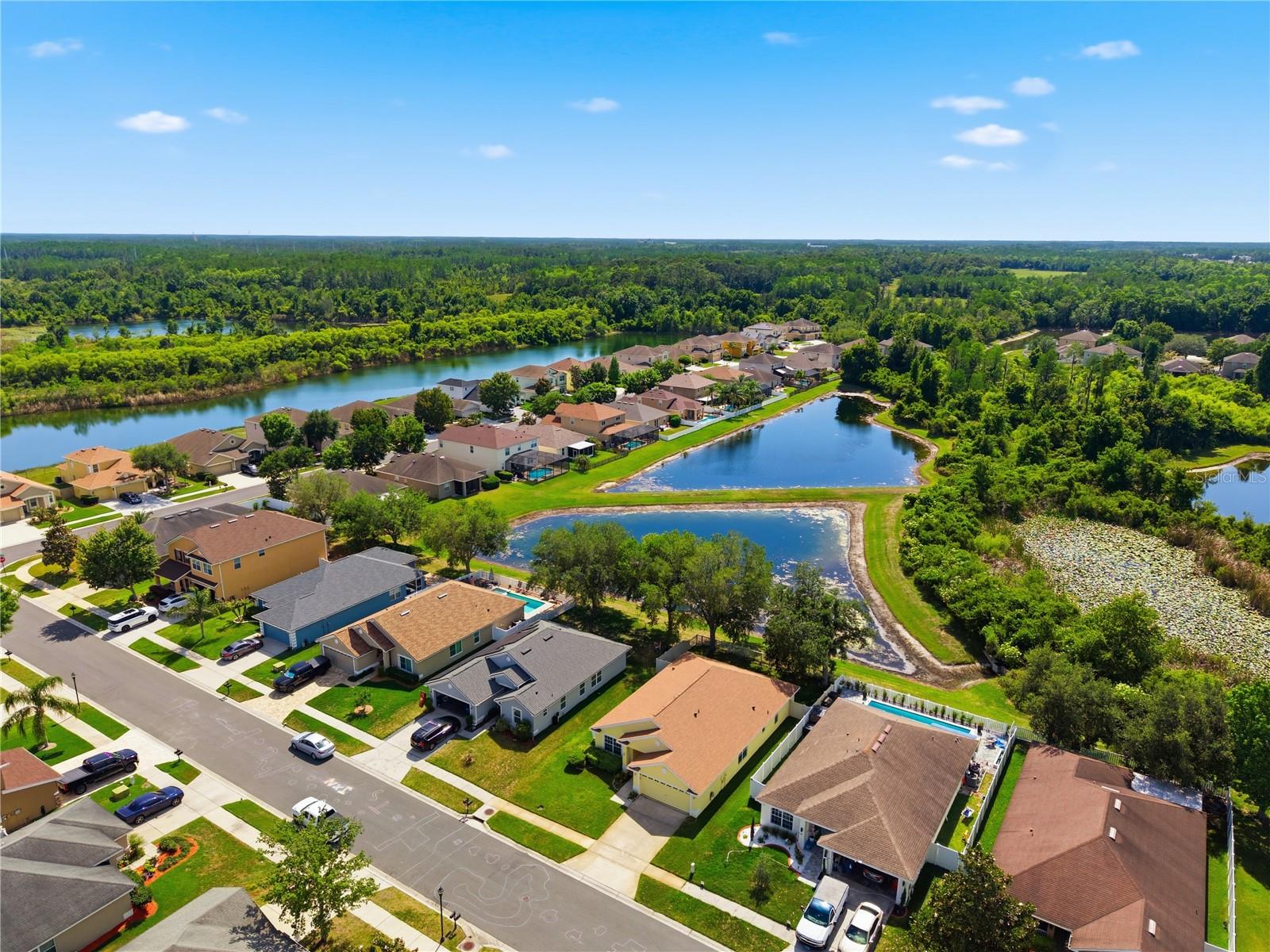 9551 JAYBIRD LN, LAND O LAKES, FL, 34638