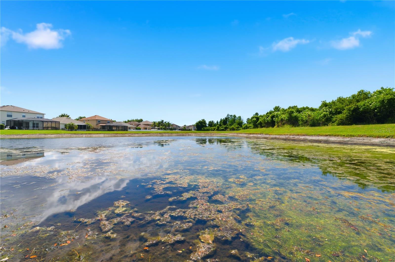 9551 JAYBIRD LN, LAND O LAKES, FL, 34638