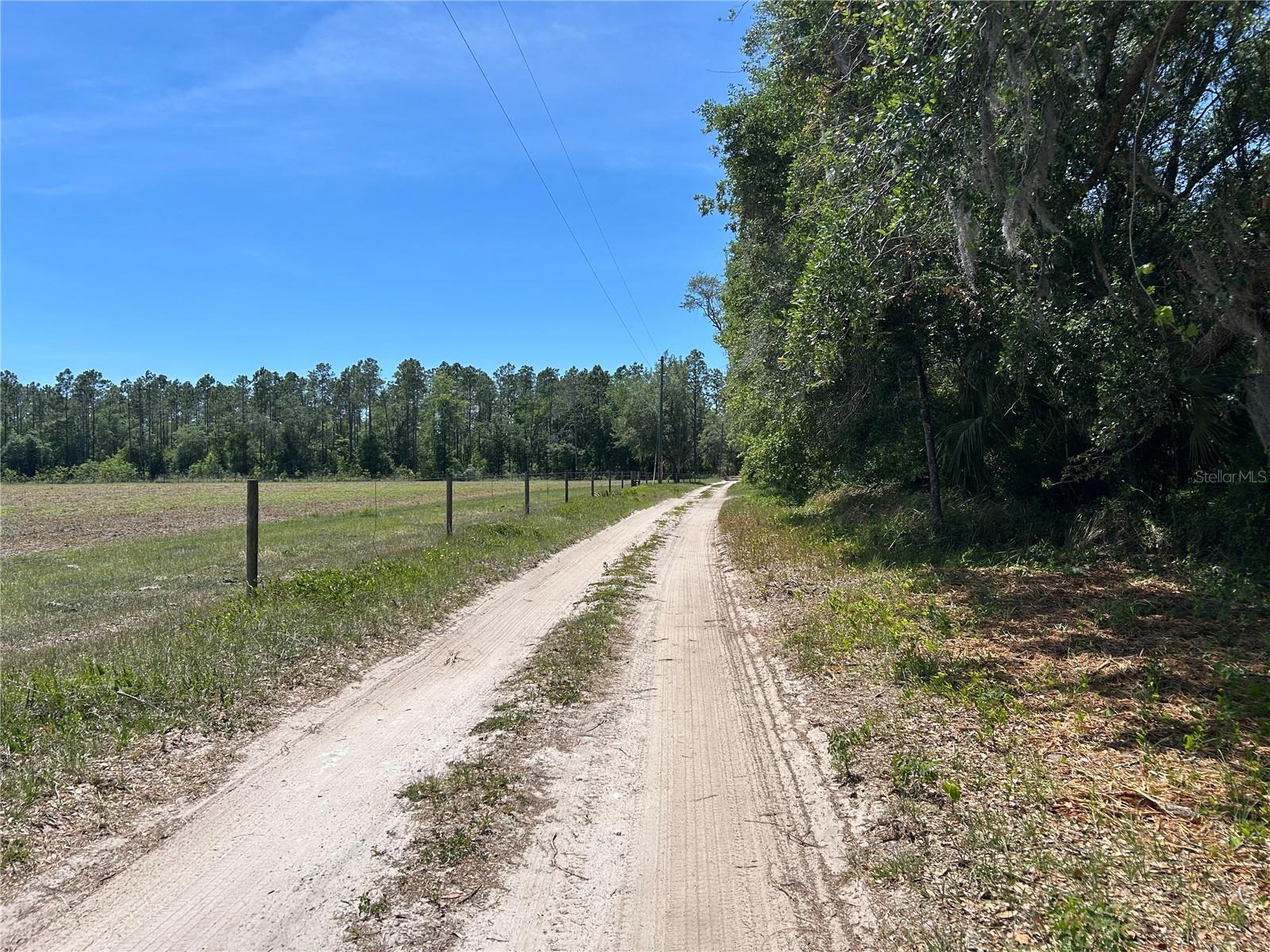 11051 SE 40TH ST, MORRISTON, FL, 32668