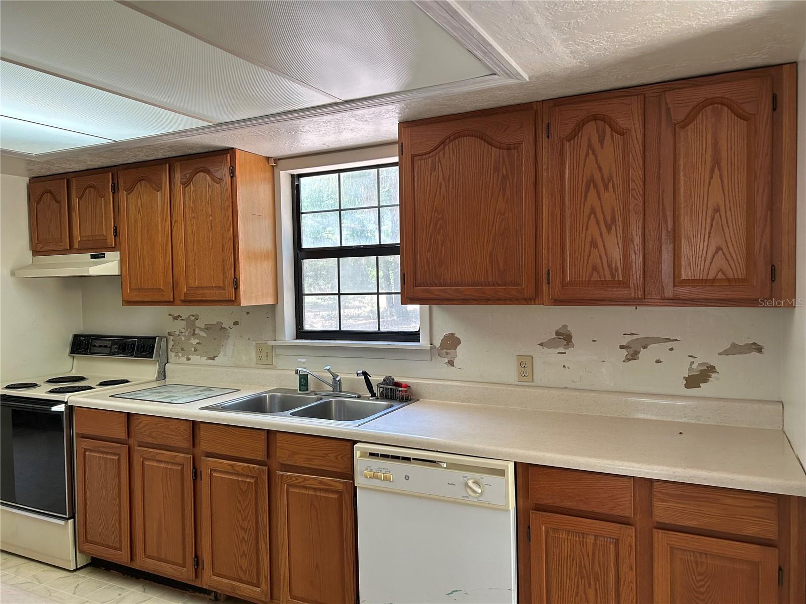 11051 SE 40TH ST, MORRISTON, FL, 32668