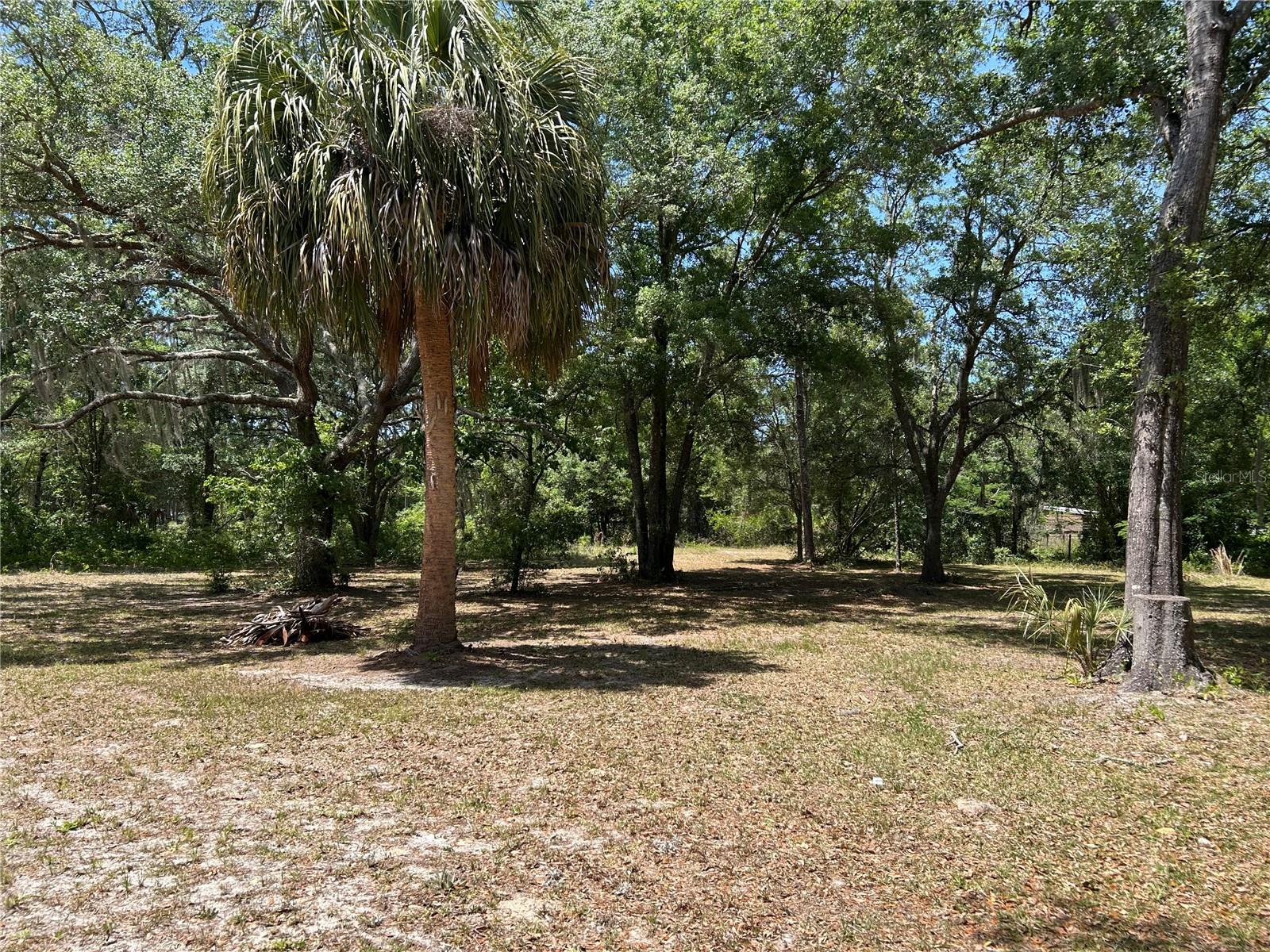 11051 SE 40TH ST, MORRISTON, FL, 32668