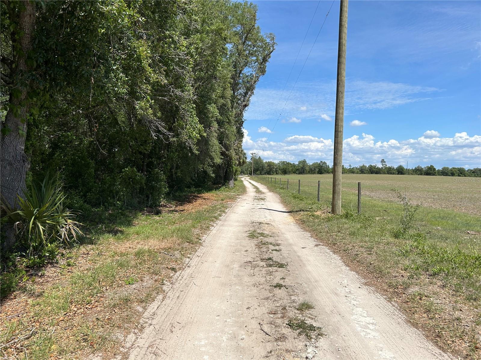 11051 SE 40TH ST, MORRISTON, FL, 32668