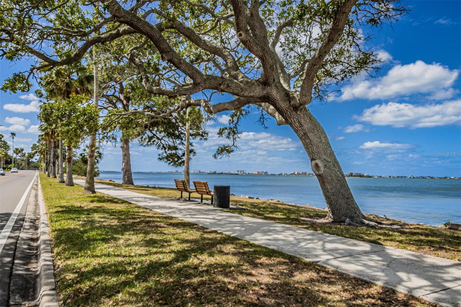 225 GARDEN CIR S, DUNEDIN, FL, 34698