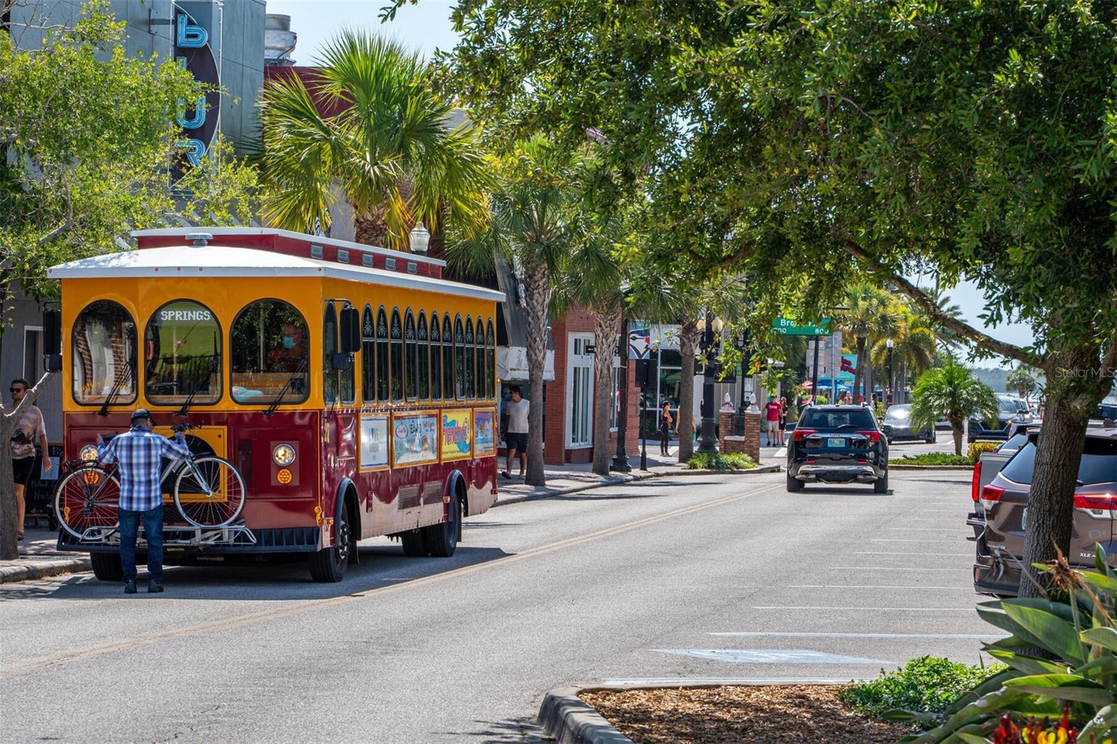 225 GARDEN CIR S, DUNEDIN, FL, 34698