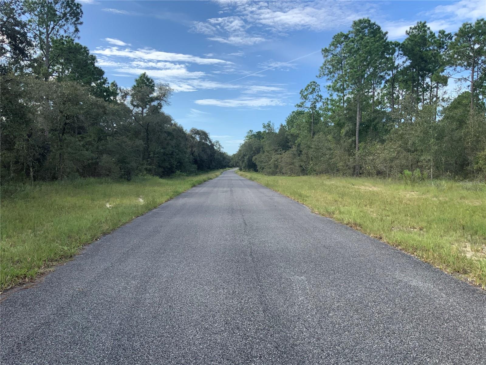 00 SE 139TH LOT 23 TER, MORRISTON, FL, 32668