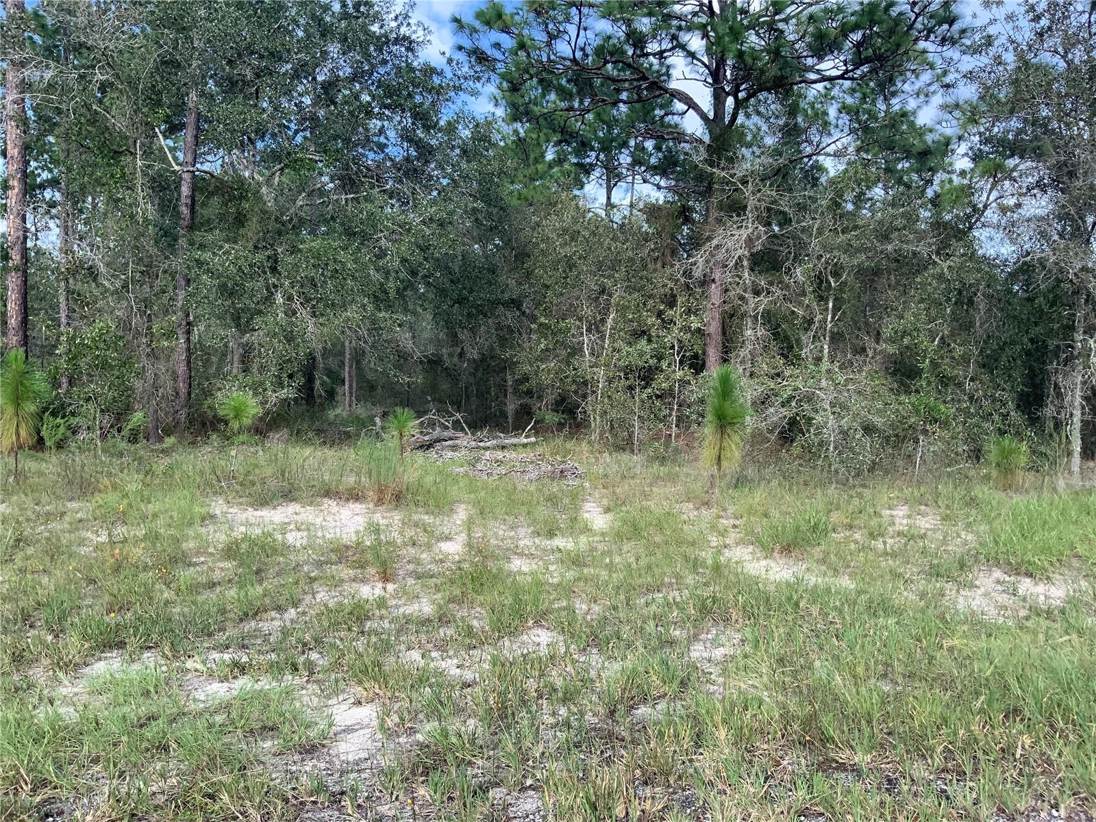 00 SE 139TH LOT 23 TER, MORRISTON, FL, 32668