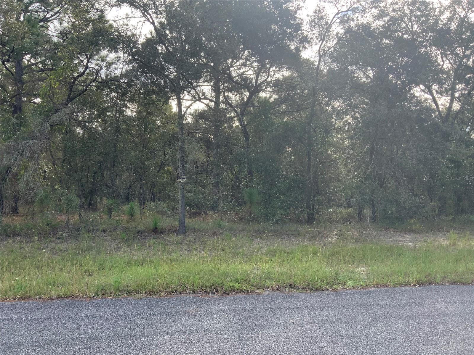 00 SE 139TH LOT 23 TER, MORRISTON, FL, 32668