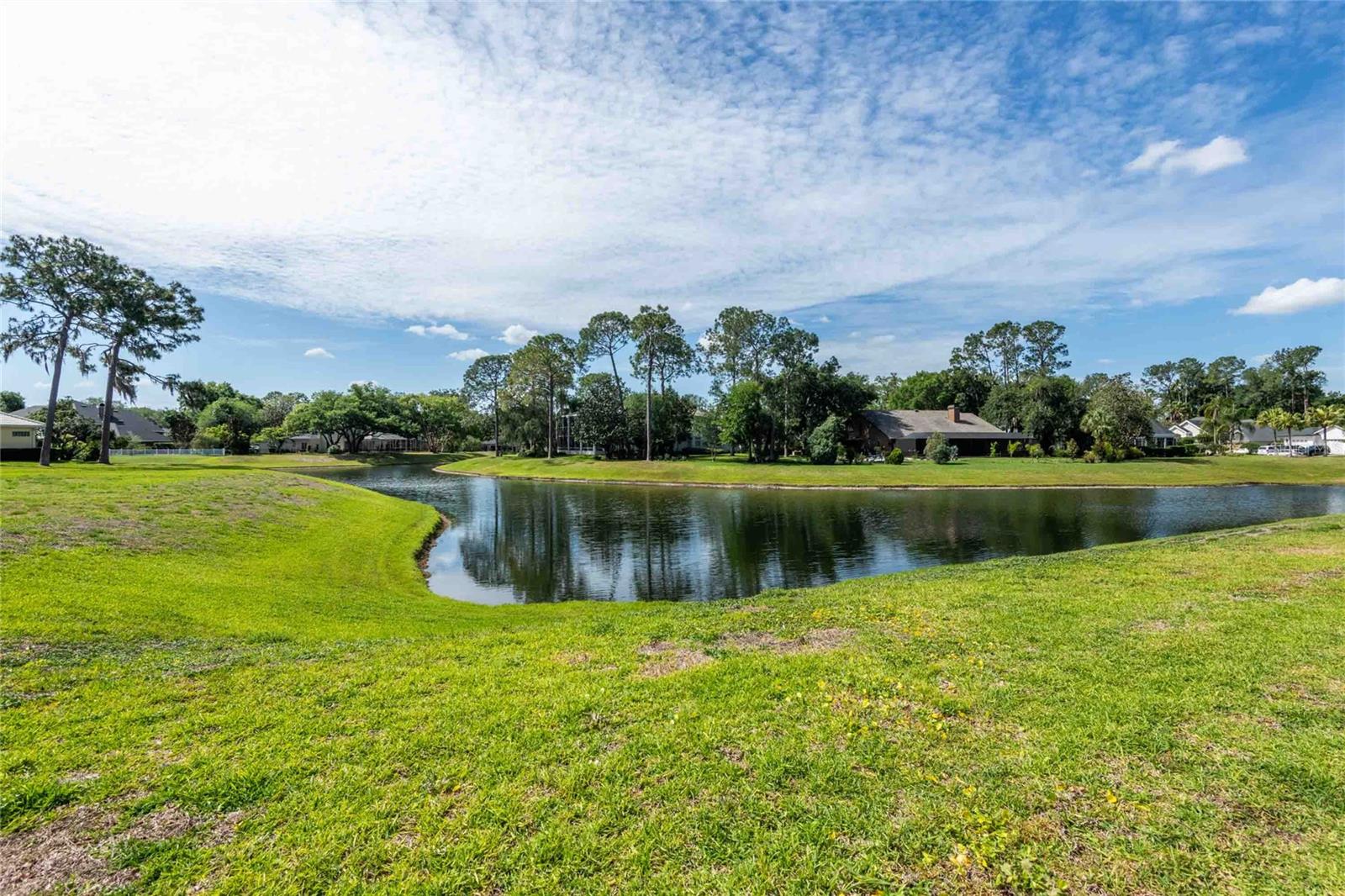 6605 STONINGTON DR N, TAMPA, FL, 33647