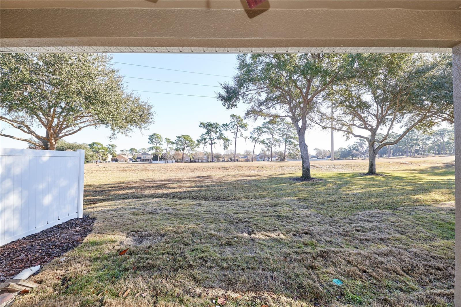 23903 SARDINIA DR, SORRENTO, FL, 32776