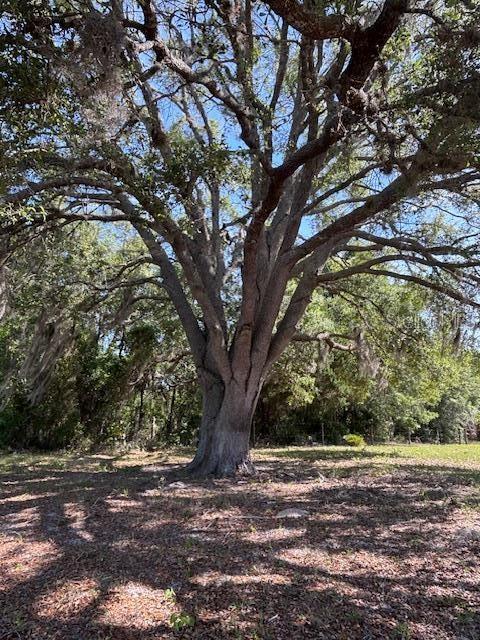 10250 NW 67TH PL, CHIEFLAND, FL, 32626