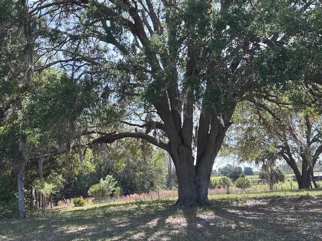 10250 NW 67TH PL, CHIEFLAND, FL, 32626