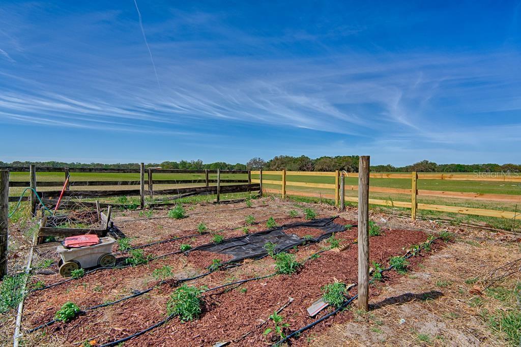 10250 NW 67TH PL, CHIEFLAND, FL, 32626