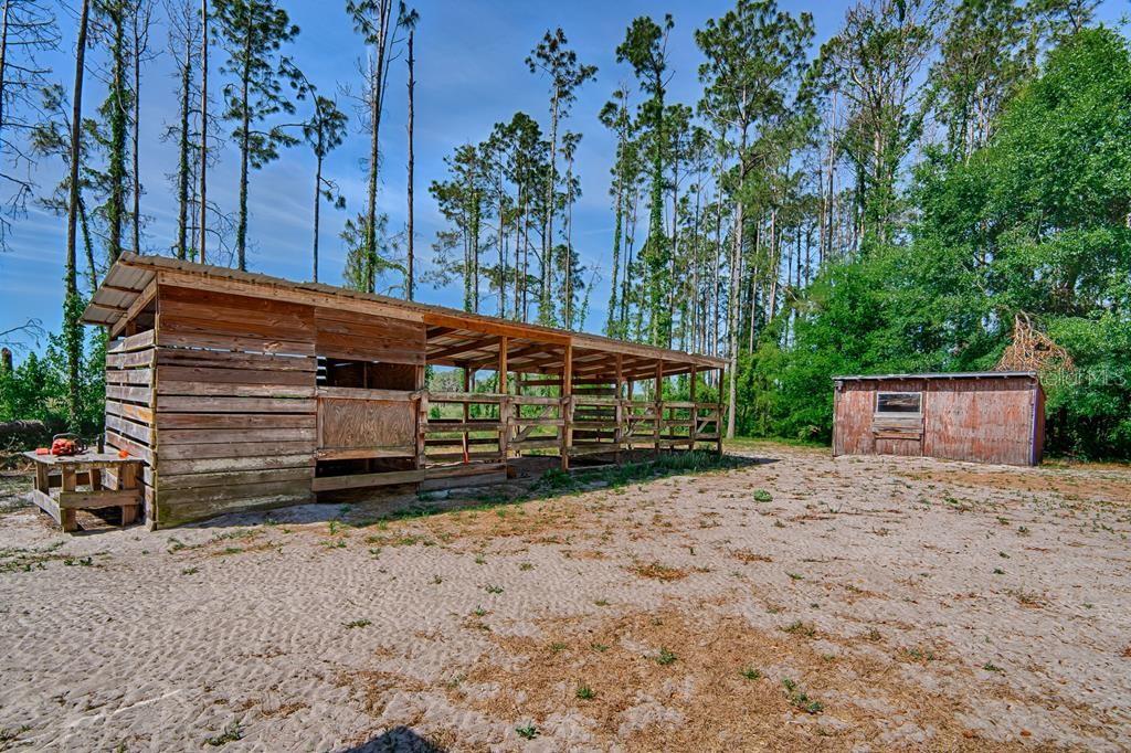 10250 NW 67TH PL, CHIEFLAND, FL, 32626