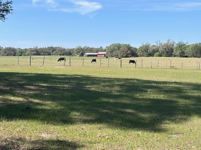 10250 NW 67TH PL, CHIEFLAND, FL, 32626