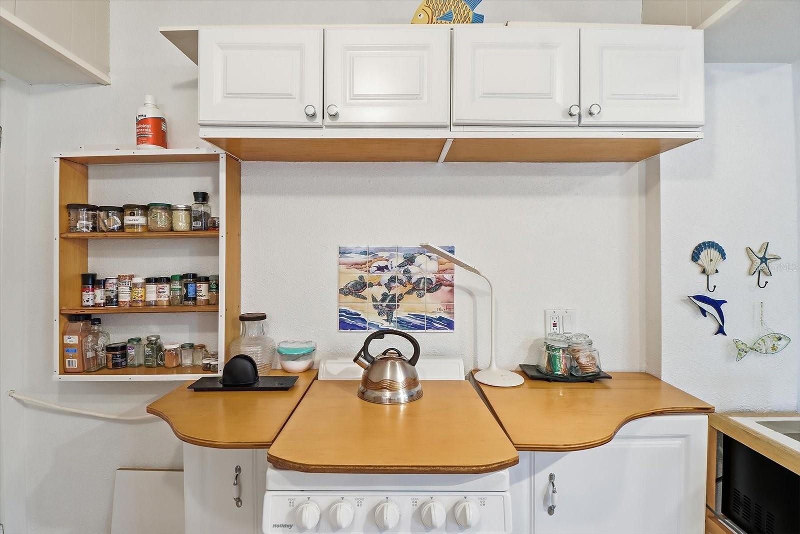 8896 W WHITE DOGWOOD DR, HOMOSASSA, FL, 34448