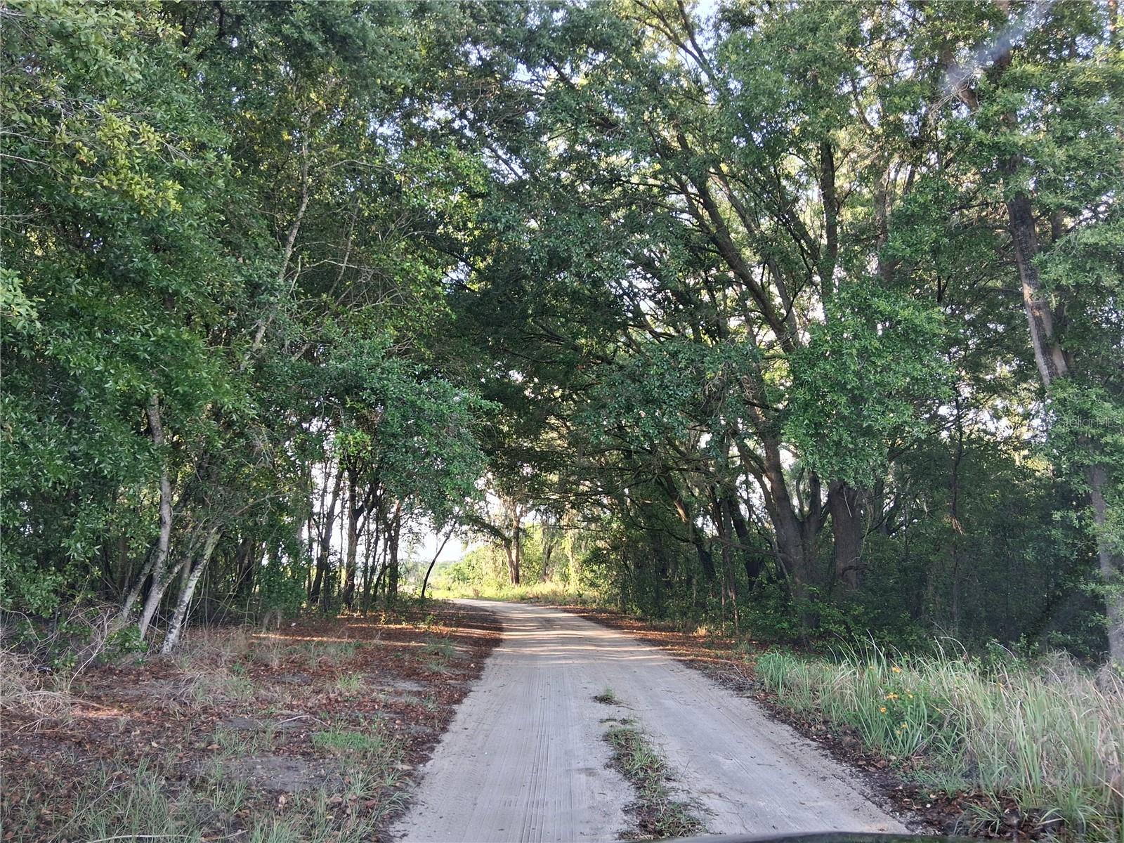 16451 FORREST LN, GROVELAND, FL, 34736