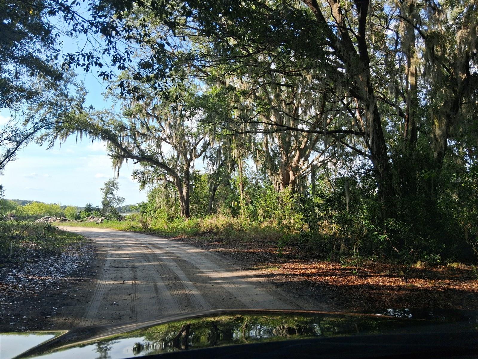 16451 FORREST LN, GROVELAND, FL, 34736