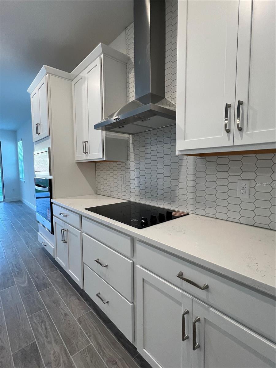 1703 CADENCE ST, MINNEOLA, FL, 34715