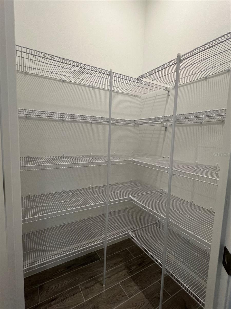 1703 CADENCE ST, MINNEOLA, FL, 34715