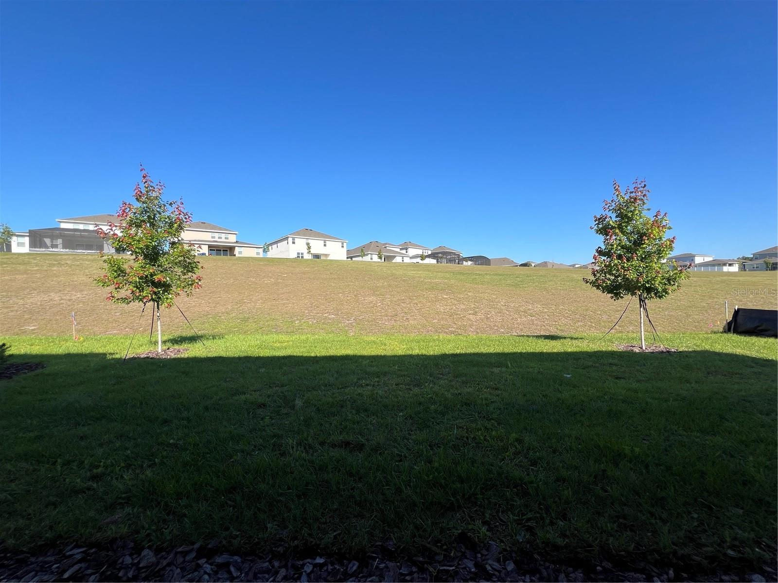 2367 JUNIPER BERRY DR, MINNEOLA, FL, 34715