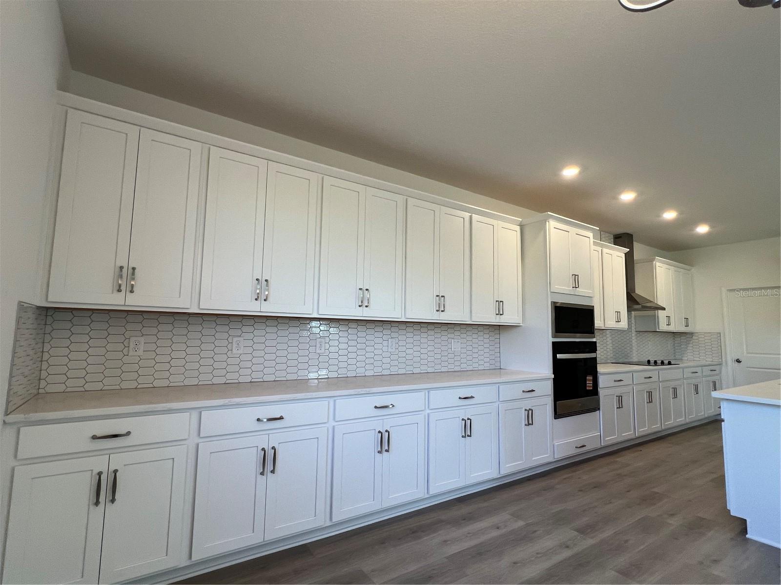 1715 CADENCE ST, MINNEOLA, FL, 34715