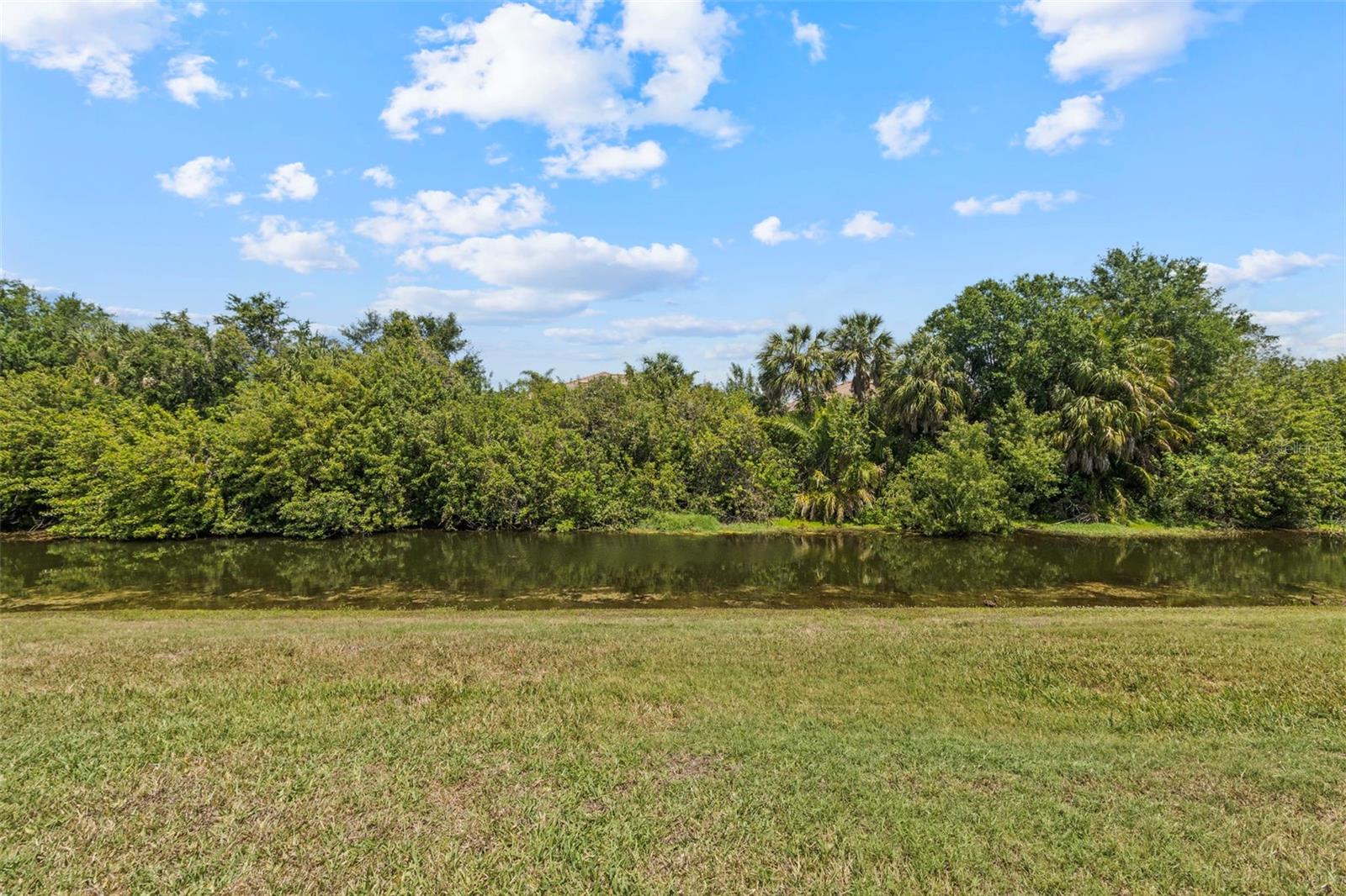 151 BRIGHT IBIS AVE, APOLLO BEACH, FL, 33572