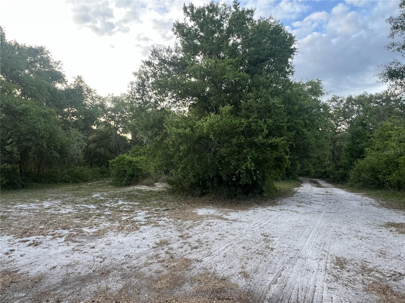 27137 MILLER RD, DADE CITY, FL, 33525