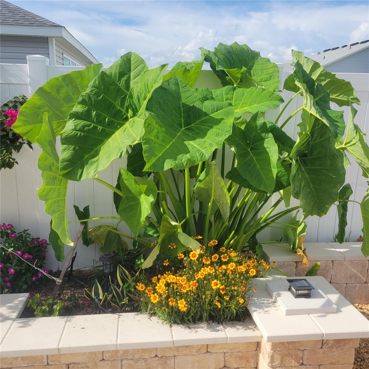 7591 MERGAERT LN, MIDDLETON, FL, 34762