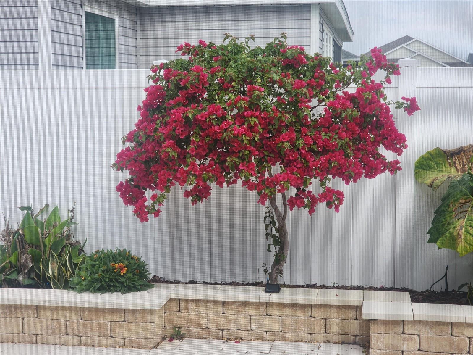 7591 MERGAERT LN, MIDDLETON, FL, 34762