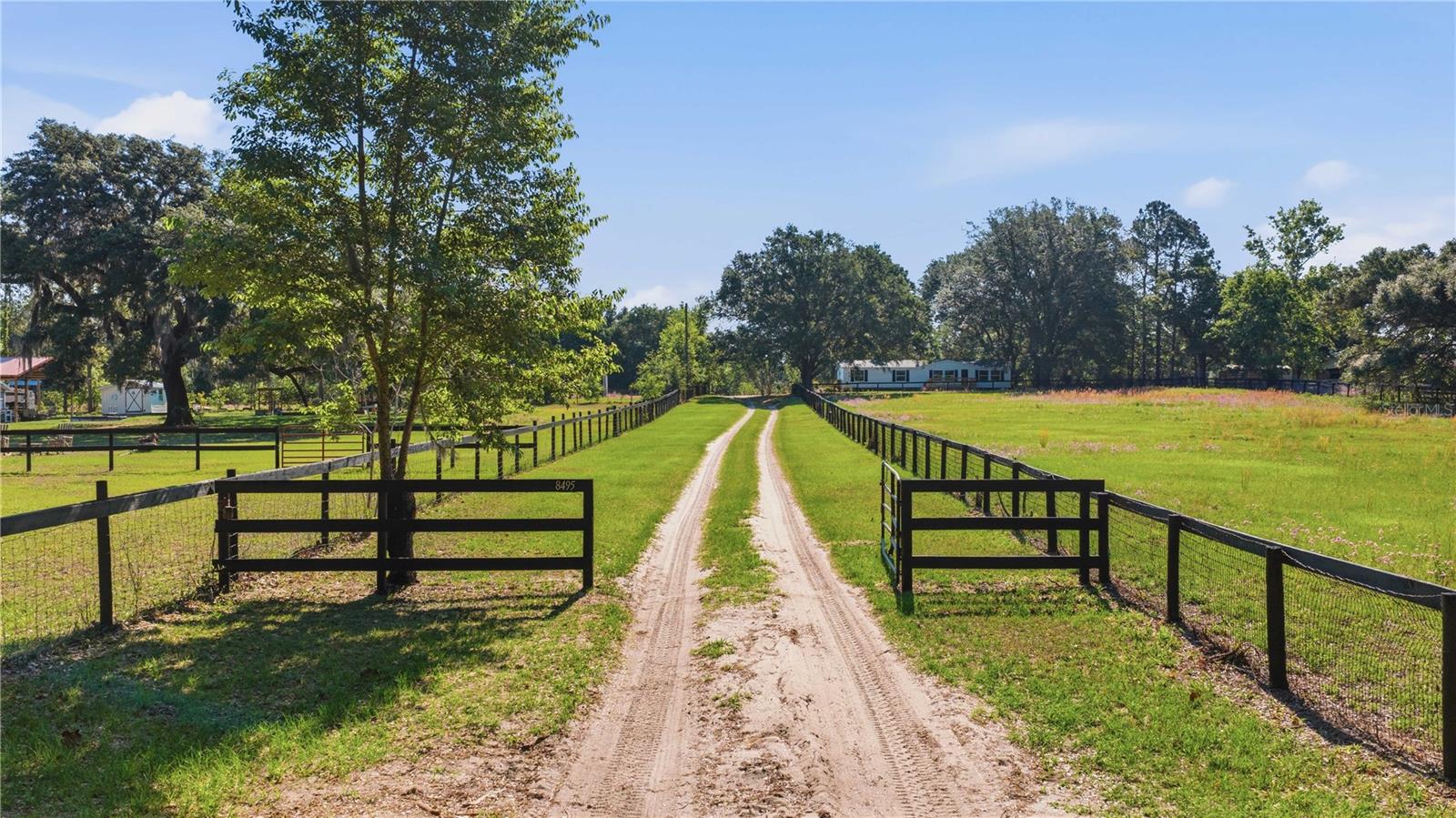 8495 NE 33RD CT, ANTHONY, FL, 32617