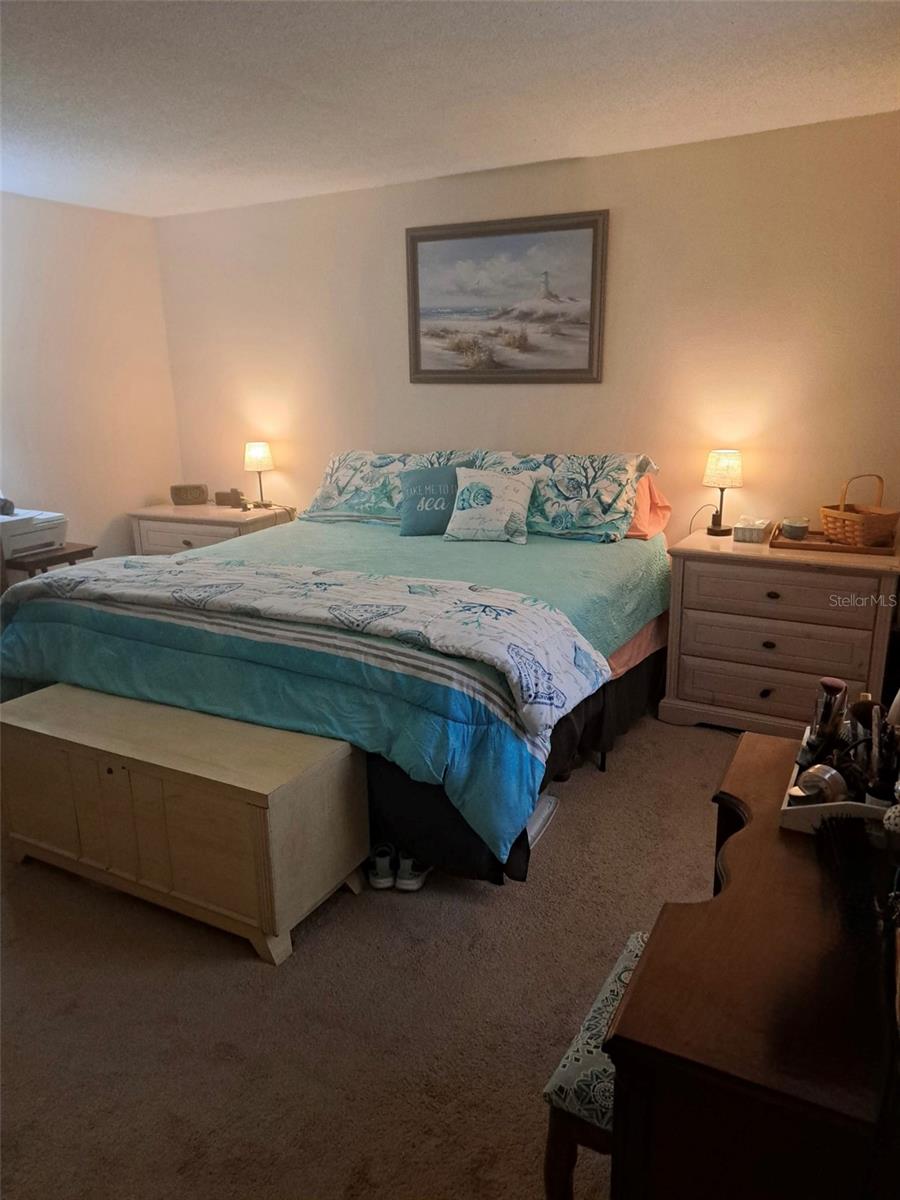 11301 HUGGINS ST, LEESBURG, FL, 34788