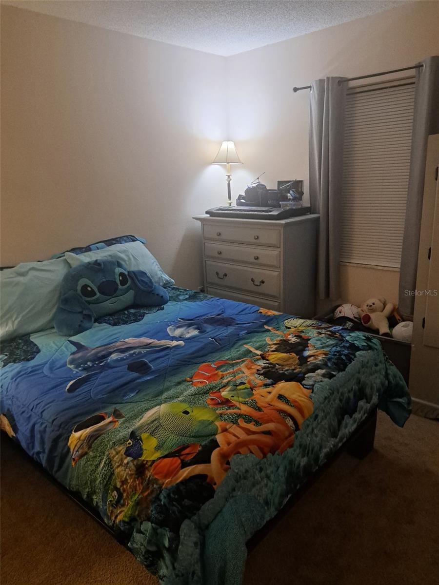 11301 HUGGINS ST, LEESBURG, FL, 34788