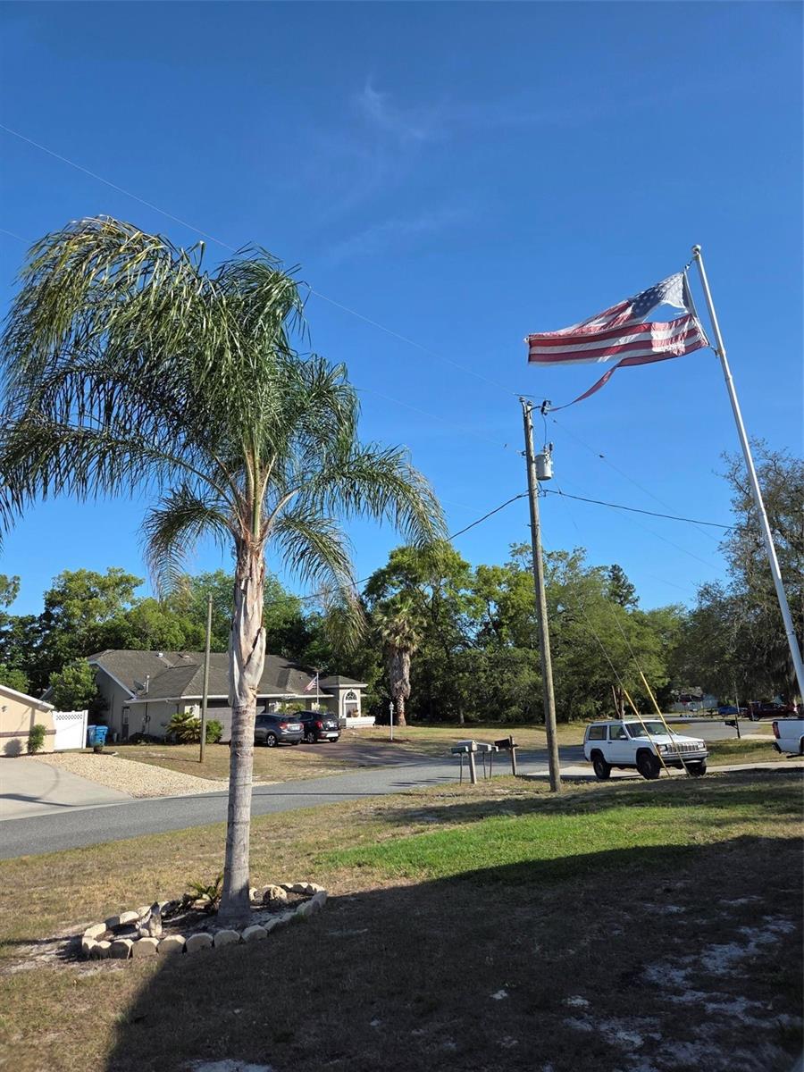 2435 MANDRELL AVE, SPRING HILL, FL, 34608