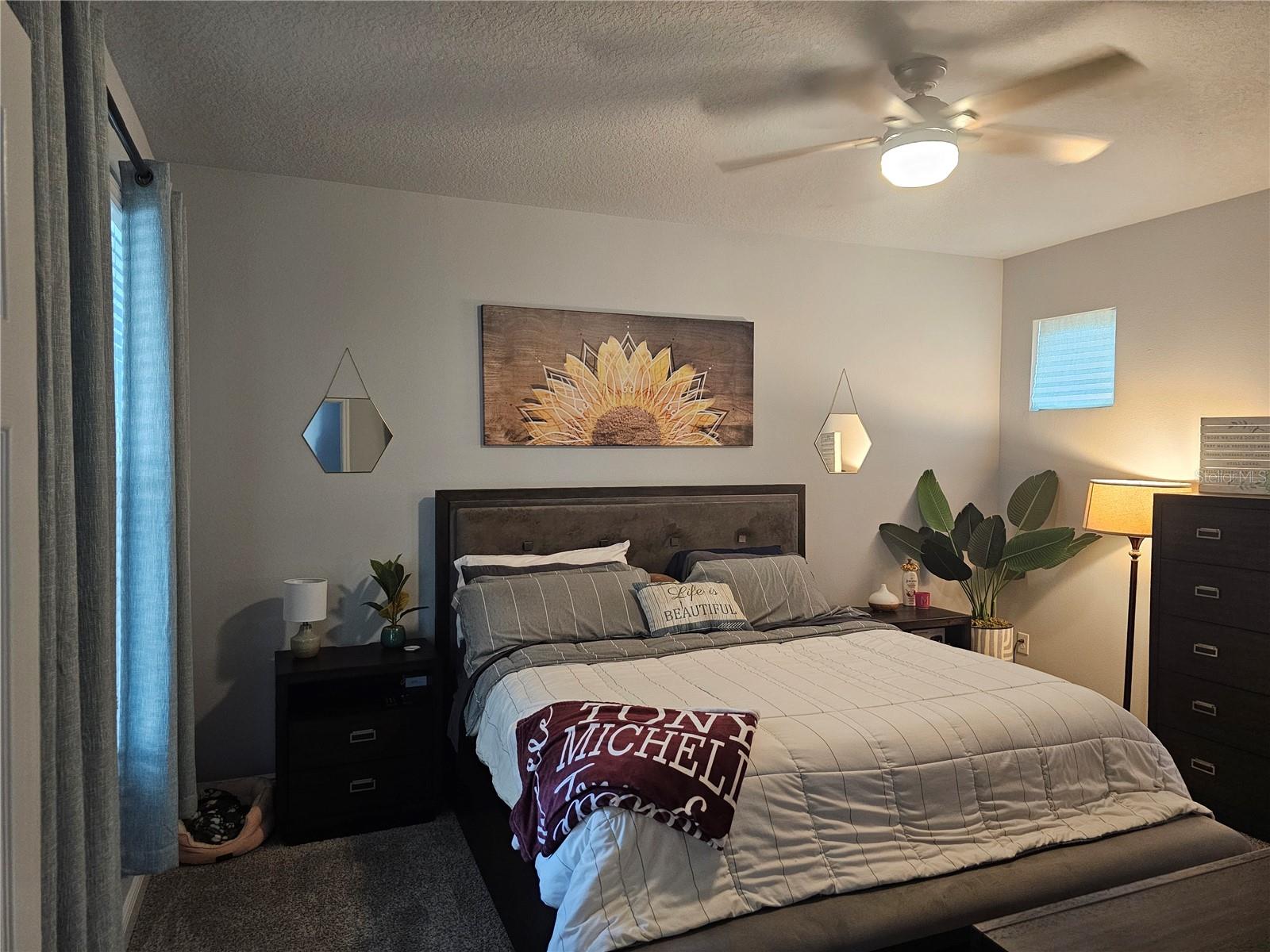 3618 PERSIMMON PARK DR, WESLEY CHAPEL, FL, 33543