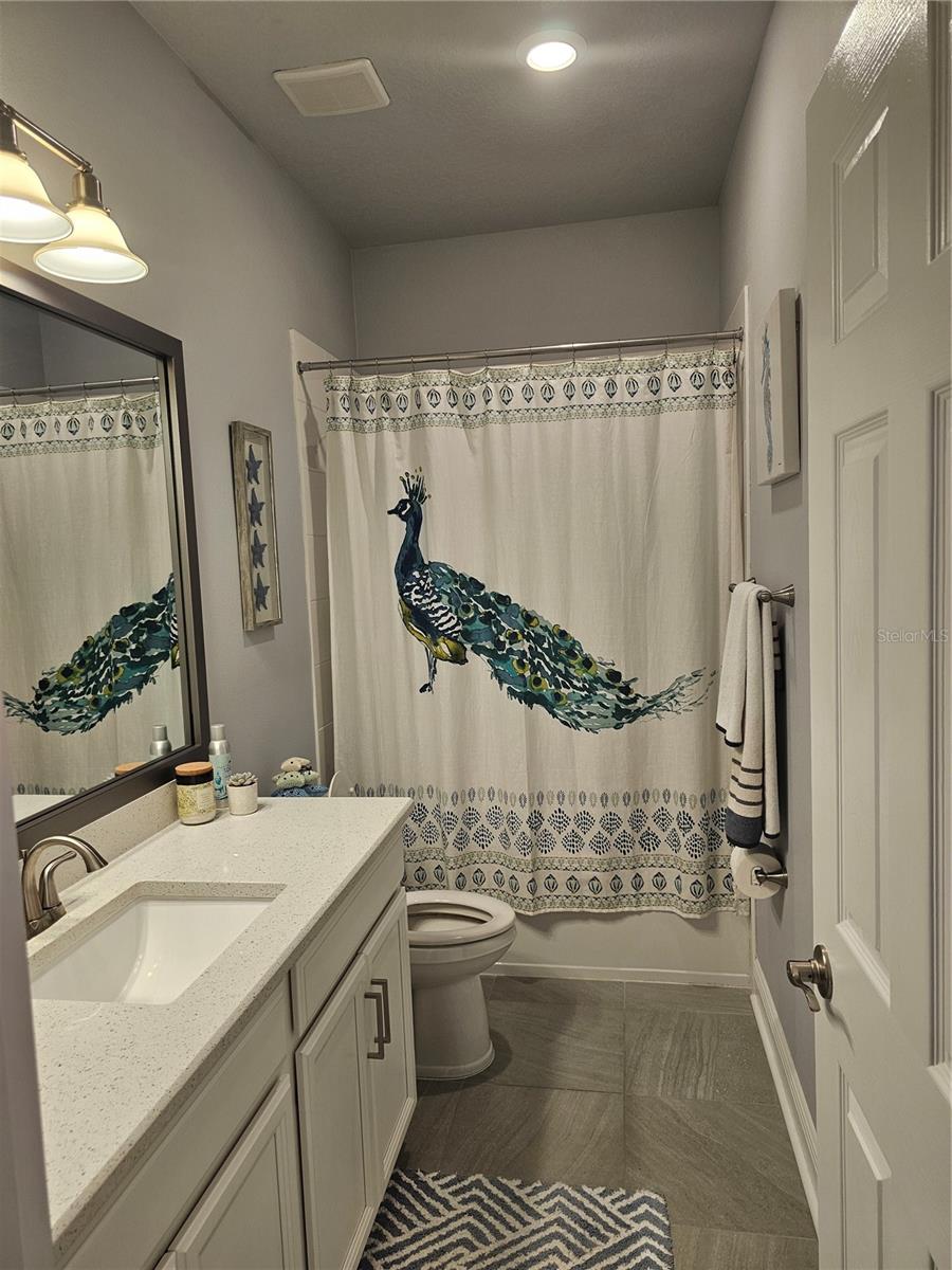 3618 PERSIMMON PARK DR, WESLEY CHAPEL, FL, 33543