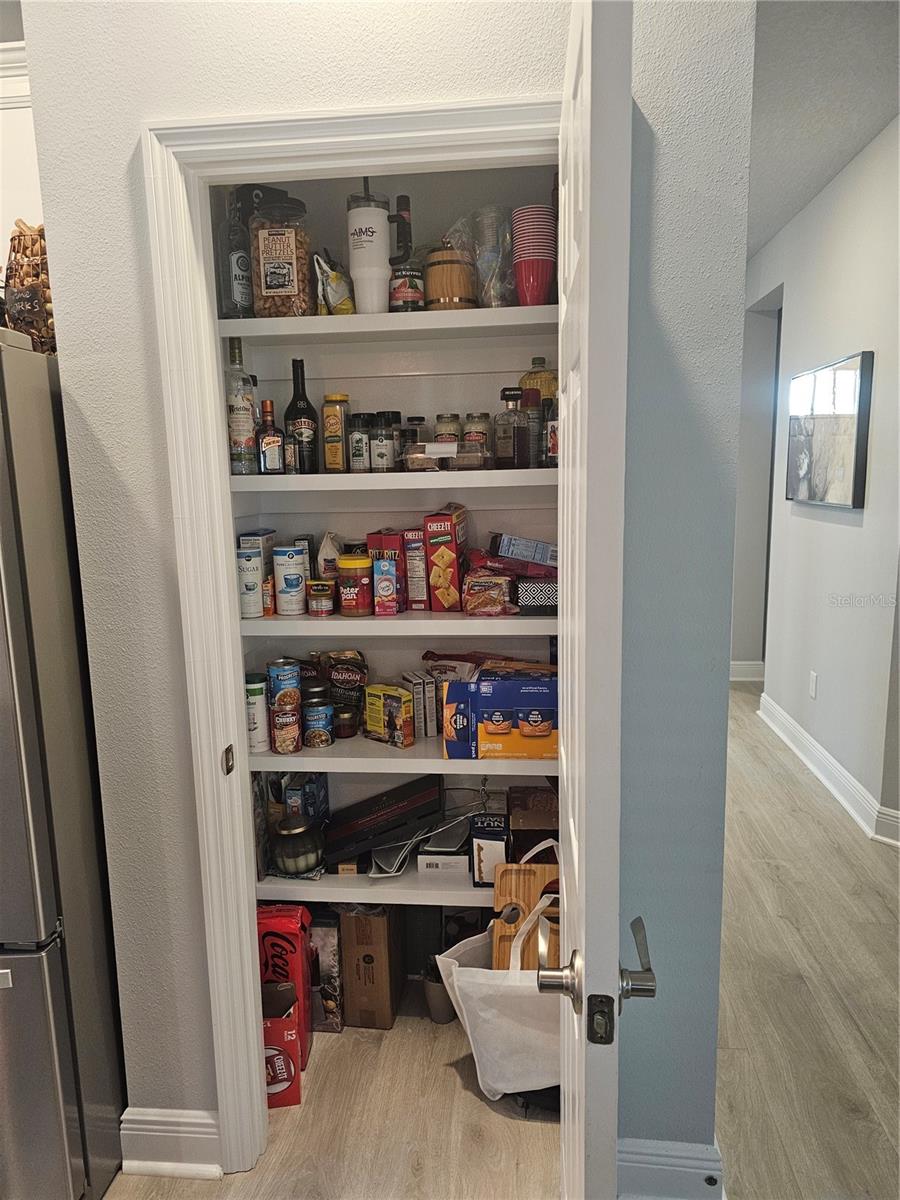 3618 PERSIMMON PARK DR, WESLEY CHAPEL, FL, 33543