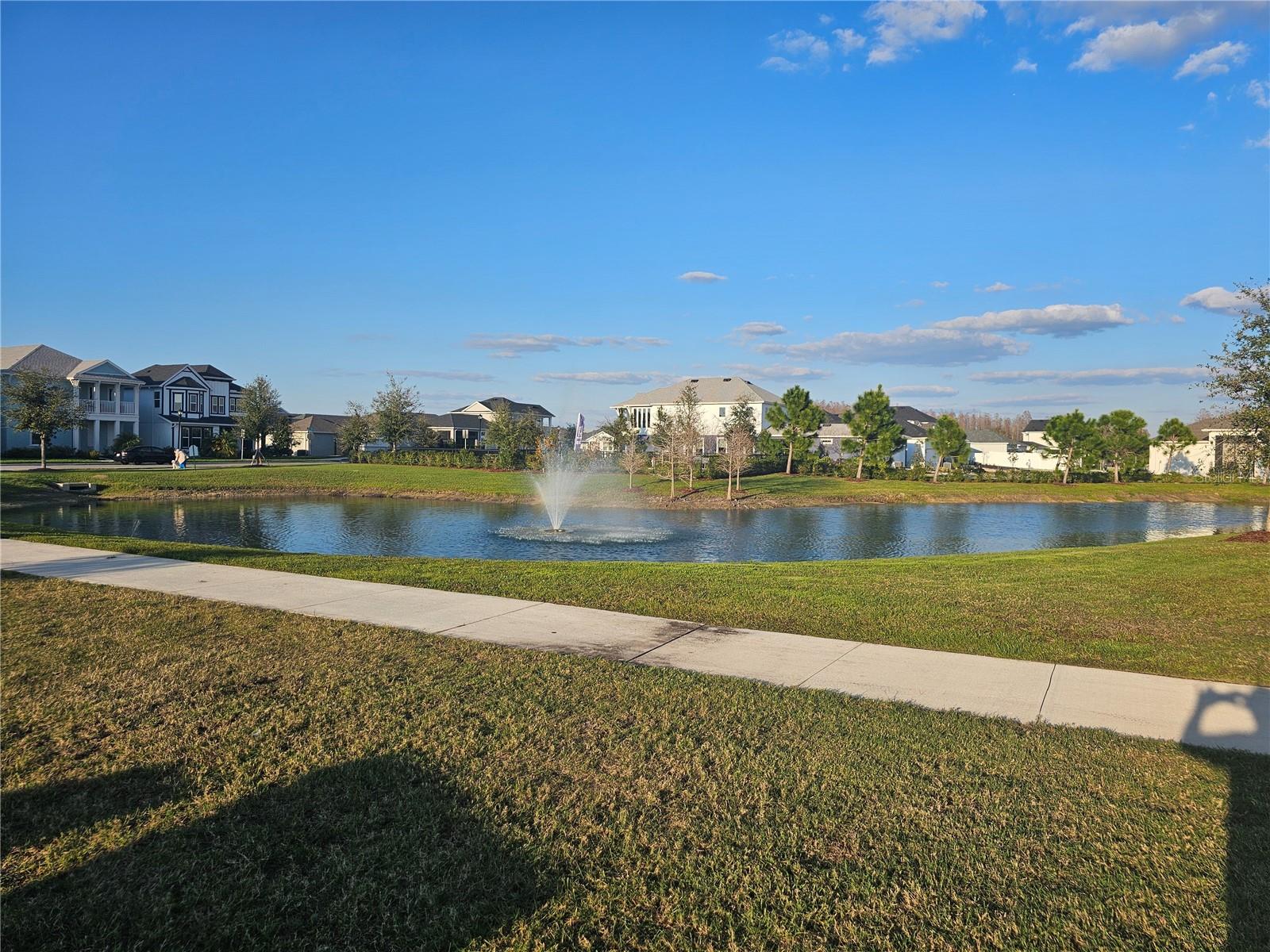 3618 PERSIMMON PARK DR, WESLEY CHAPEL, FL, 33543