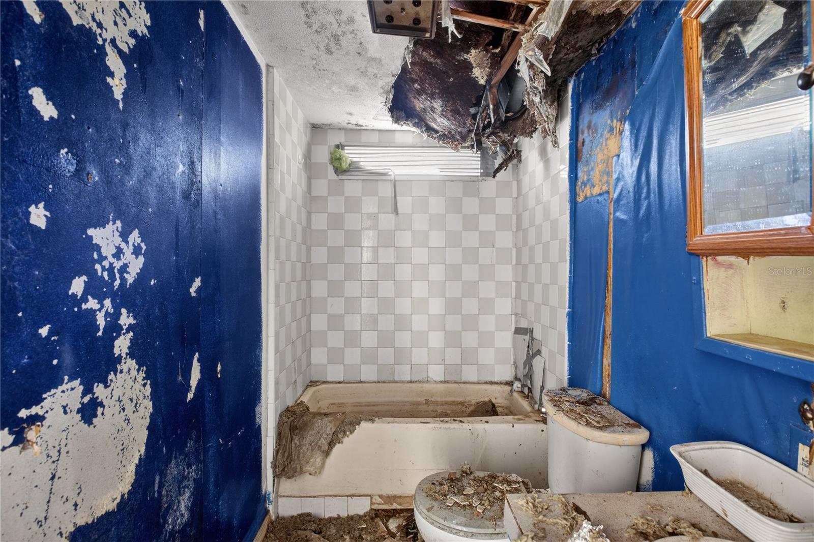 2632 FRANCES DR, DELAND, FL, 32724