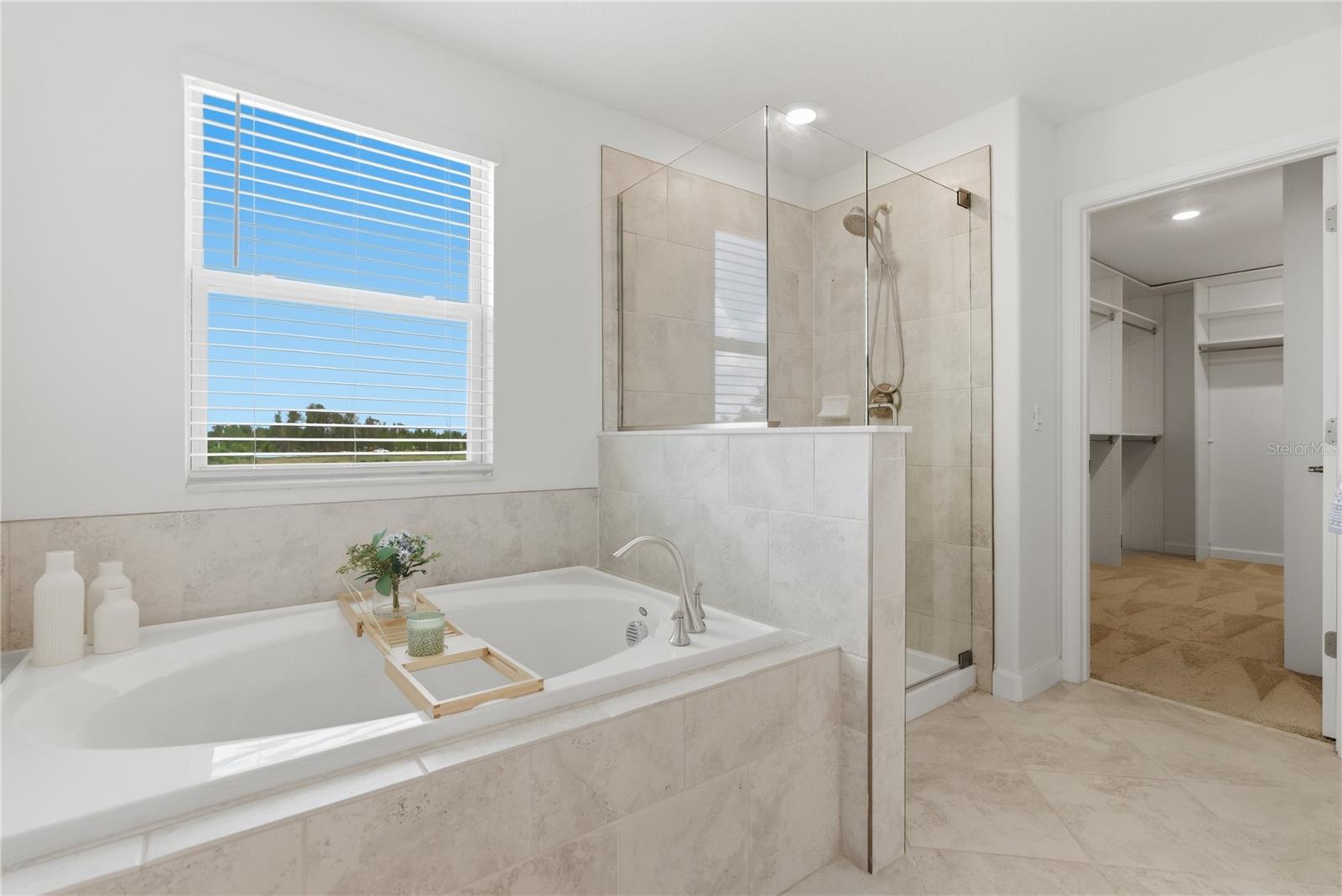 9157 SHADYSIDE LN, LAND O LAKES, FL, 34637