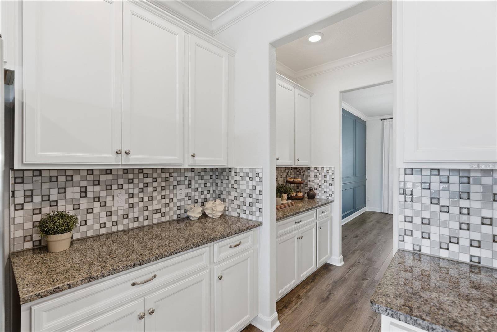 9157 SHADYSIDE LN, LAND O LAKES, FL, 34637