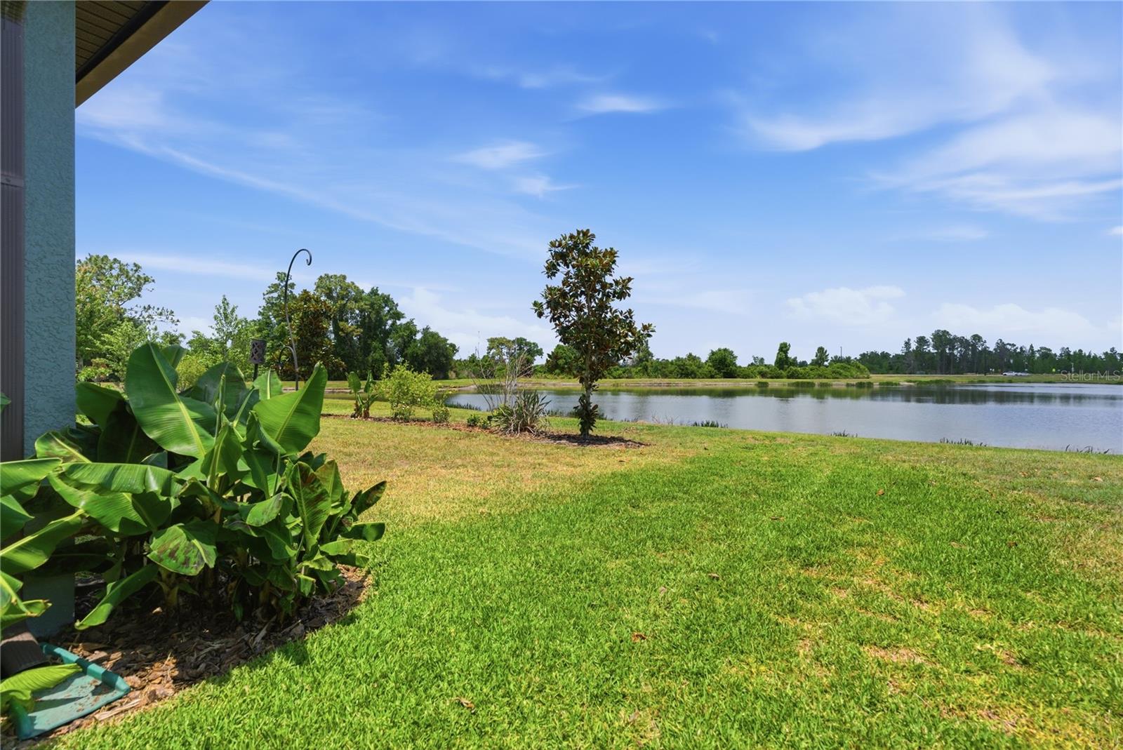 9157 SHADYSIDE LN, LAND O LAKES, FL, 34637