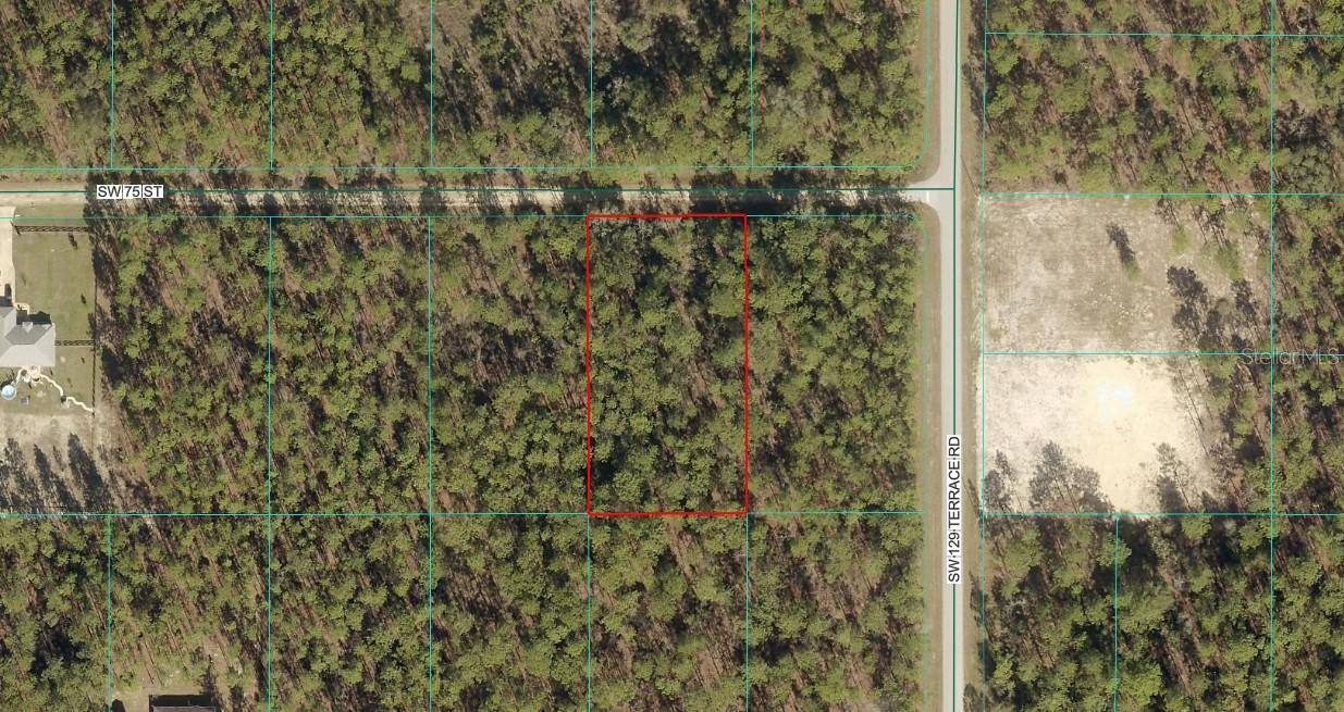 TBD LOT 8 SW 65TH ST, DUNNELLON, FL, 34432