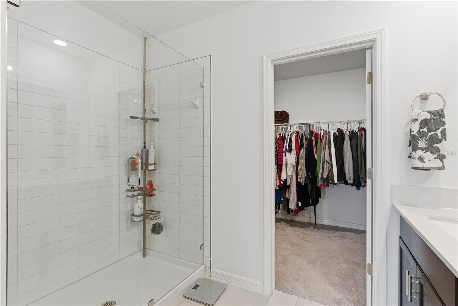 8977 LITTLE BLUESTEM DR, LAND O LAKES, FL, 34637