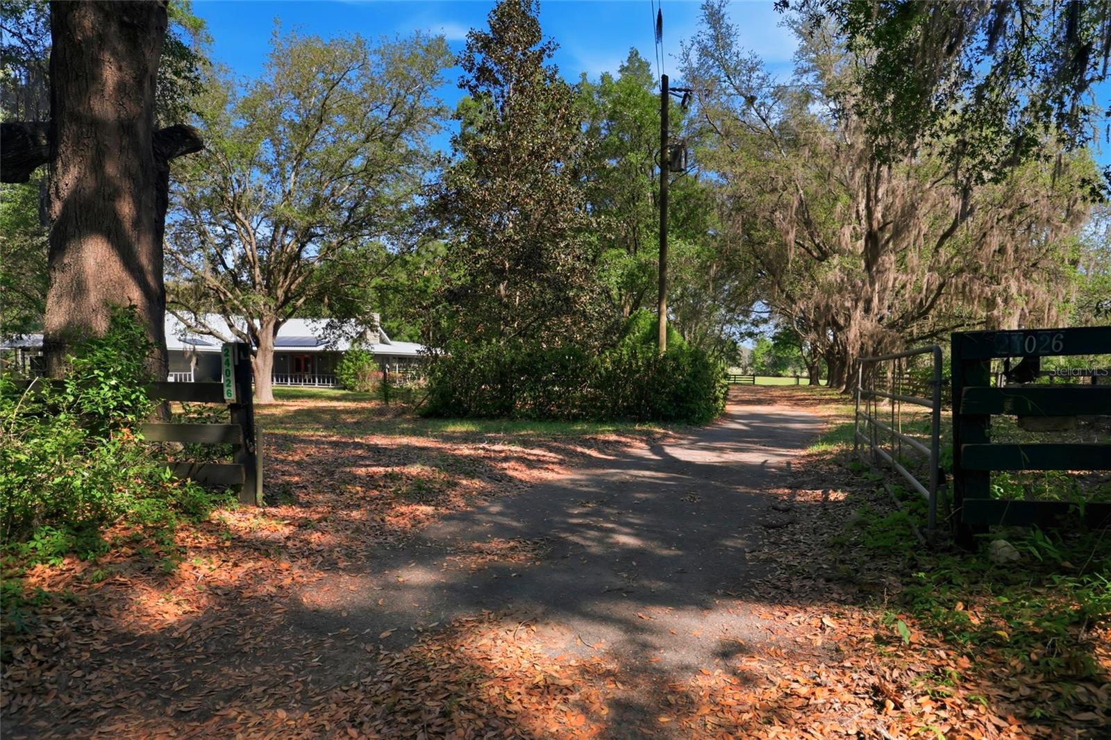 24026 NW 126TH LN, ALACHUA, FL, 32615